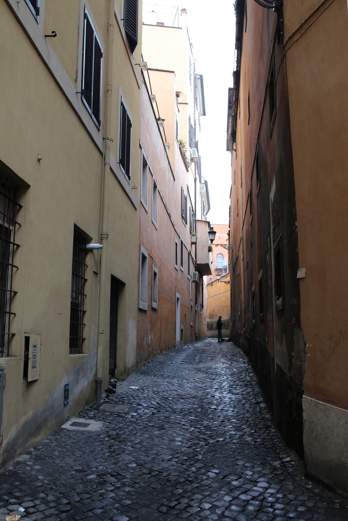 Italy (Jan 2012) 018.jpg